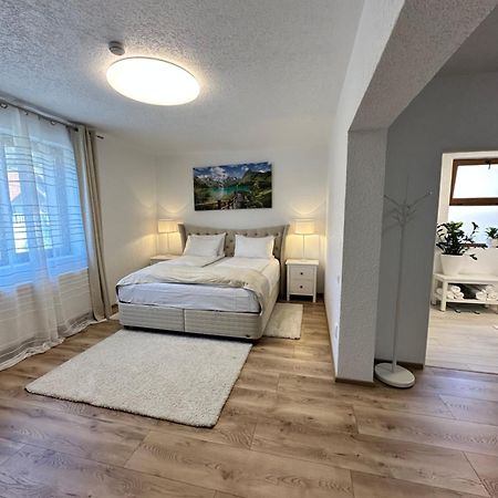 Silvan Villa - Apart Сігішоара Екстер'єр фото