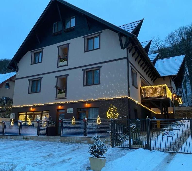 Silvan Villa - Apart Сігішоара Екстер'єр фото